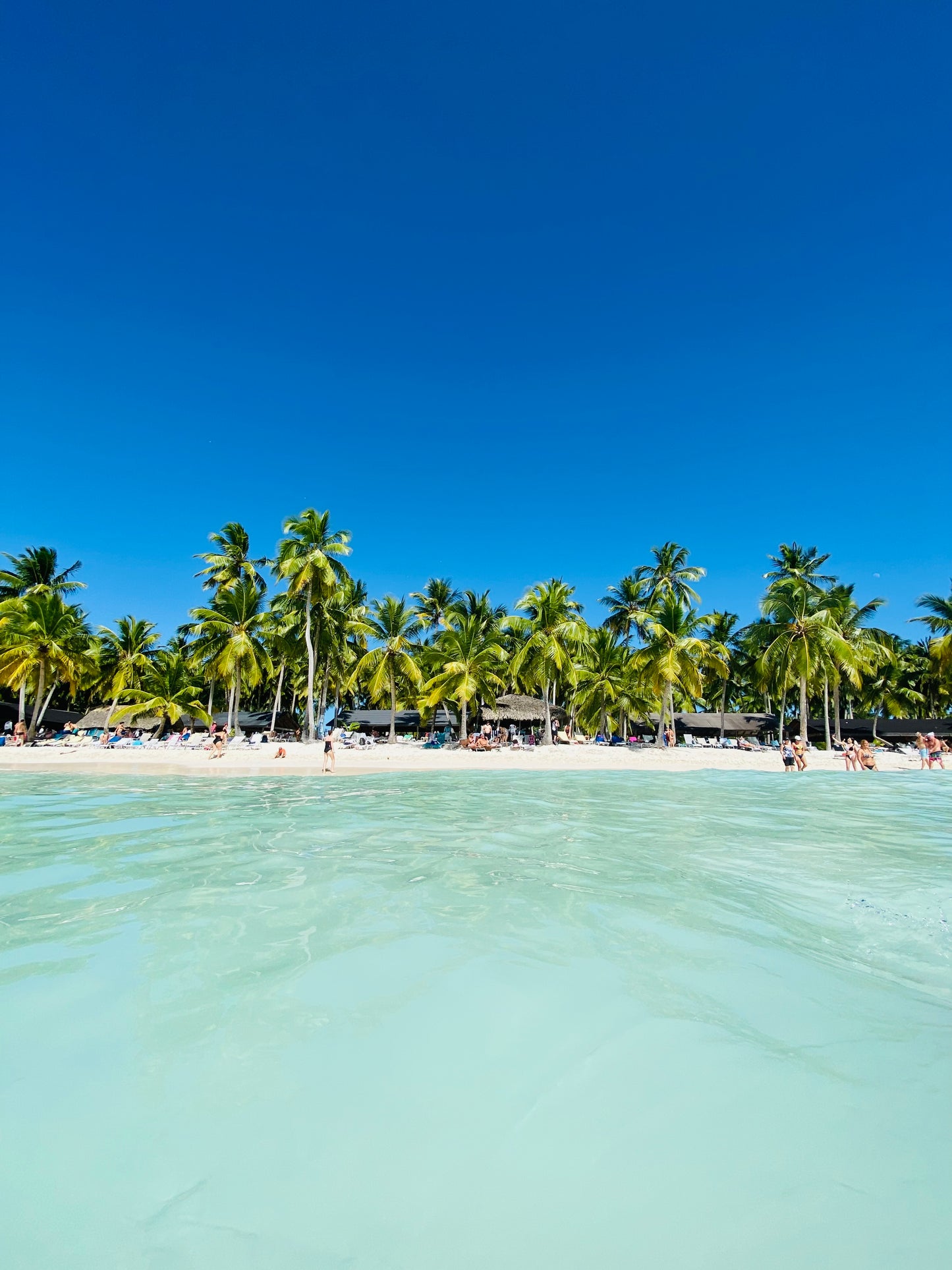 10-DAY ROAD TRIP IN THE DOMINICAN REPUBLIC